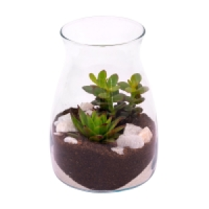 GARDENLINE® Sukkulente im Glas 6.99 €