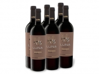 Lidl  6 x 0,75-l-Flasche Luna de Finca la Anita Grand Reserve Malbec Agrelo/