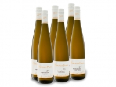 Lidl  6 x 0,75-l-Flasche Weingut Zimmermann Grüner Veltliner Gernlüssen DAC 