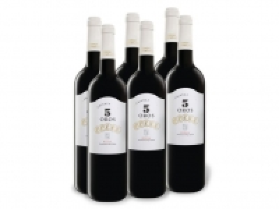 Lidl  6 x 0,75-l-Flasche Weinpaket 5 Oros Rioja Crianza DOC trocken, Rotwein