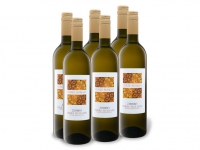 Lidl  6 x 0,75-l-Flasche Weinpaket Corte Aurelio Zibibbo Terre Siciliane IGP