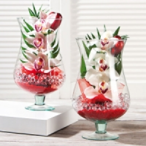 Cymbidium 9.99 €