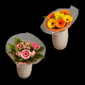 GARDENLINE Muttertags-Dekostrauß 5.99 €