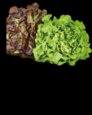 Blattsalate 0.97 €