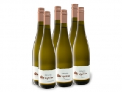 Lidl  6 x 0,75-l-Flasche Riesling Urgestein Niederösterreich trocken, Weißwe