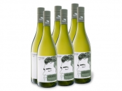 6 x 0,75-l-Flasche Weinpaket Weinkenner by Pfaffl Leopold Grüner Veltl 29.99 €