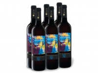 Lidl  6 x 0,75-l-Flasche Weinpaket Graciano Edicion Especial Rioja DOC trock
