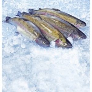 Forelle 6.99 €