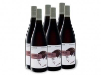 6 x 0,75-l-Flasche Weinpaket Weinkenner by Pfaffl Rudolf Zweigelt troc 29.99 €