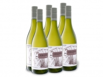 6 x 0,75-l-Flasche Weinpaket Weinkenner by Pfaffl Johanna Cuvée trocke 26.99 €
