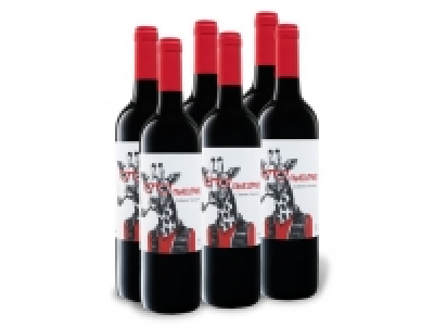 6 x 0,75-l-Flasche Weinpaket Camelopard Cabernet Sauvignon VdlT trocke 22.99 €