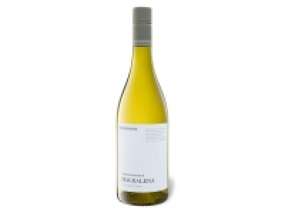 Weinkenner by Pfaffl Magdalena Sauvignon Blanc trocken, Weißwein 2020 5.99 €