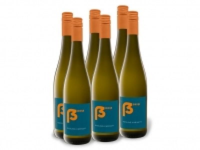 Lidl  6 x 0,75-l-Flasche Weinpaket Christopher Deiß Riesling trocken, Weißwe