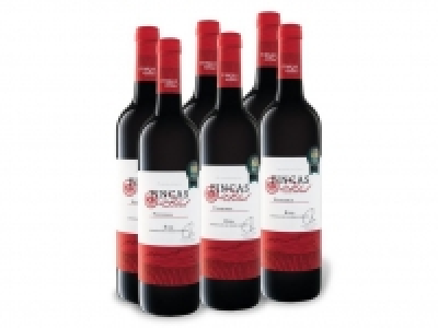 6 x 0,75-l-Flasche Weinpaket Finca del Lebrel Tempranillo Rioja DOC tr