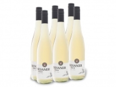 Lidl  6 x 0,75-l-Flasche Weinpaket GWF Silvaner zu Tisch Baden QbA trocken, 