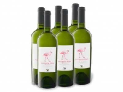 Lidl  6 x 0,75-l-Flasche Weinpaket Valle De Leyda Sauvignon Blanc Gran Reser