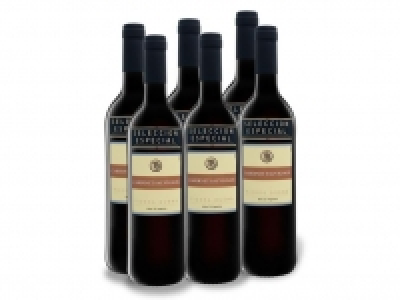 6 x 0,75-l-Flasche Weinpaket Tierra Buena Cabernet Sauvignon trocken,