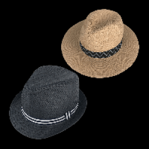Sommerhut 4.99&nbsp;&euro;