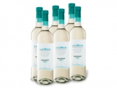 6 x 0,75-l-Flasche Weinpaket Le Forcelle Sauvignon Friuli DOC trocken,