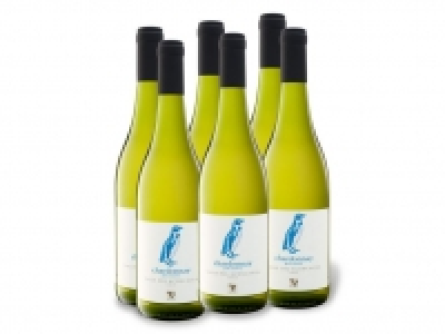 6 x 0,75-l-Flasche Weinpaket Chile Chardonnay Aconcagua trocken, Weißw 23.99 €