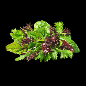 Pfl&uuml;cksalat 0.79&nbsp;&euro;