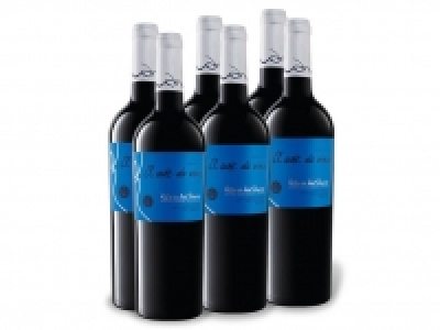 6 x 0,75-l-Flasche Weinpaket El Arte de Vivir Tempranillo Ribera del D