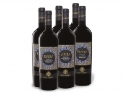 Lidl  6 x 0,75-l-Flasche Weinpaket Duca di Sasseta Espera Primitivo Puglia I