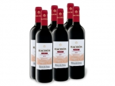 6 x 0,75-l-Flasche Weinpaket Hachón Roble Ribera del Duero DO trocken,