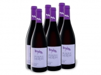 Lidl  6 x 0,75-l-Flasche Weinpaket Purple Heron Südafrika Cinsault trocken, 