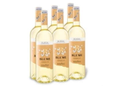 Lidl  6 x 0,75-l-Flasche Weinpaket Blume Verdejo Selección Rueda DO trocken,