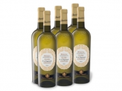 6 x 0,75-l-Flasche Weinpaket Duca di Sasseta Fiano da uve leggermente