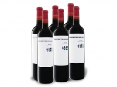 Lidl  6 x 0,75-l-Flasche Weinpaket Poncho Criollo Mendoza Malbec halbtrocken