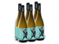 Lidl  6 x 0,75-l-Flasche Weinpaket Eira dos Cregos Albariño Rías Baixas DO t
