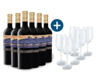 6 x 0,75-l-Flasche Weinpaket Duca di Sasseta Nero di Troia Puglia IGT