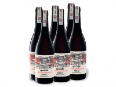 6 x 0,75-l-Flasche Weinpaket Vignamatta Veneto IGT halbtrocken, Rotwei