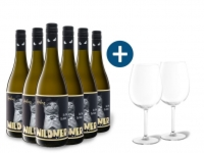 6 x 0,75-l-Flasche Weinpaket Weingut Wildner Riesling QbA trocken, Wei