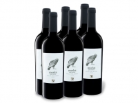 Lidl  6 x 0,75-l-Flasche Weinpaket VIAJERO Merlot Gran Reserva Valle del Rap