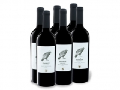 6 x 0,75-l-Flasche Weinpaket VIAJERO Merlot Gran Reserva Valle del Rap