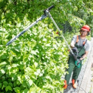 Norma Powertec Garden Teleskop-Heckenschere
