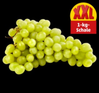 Helle Tafeltrauben 1.79 €