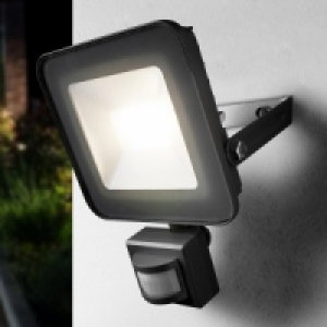 LED-Fluter 12.99 €