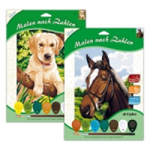 Malen nach Zahlen 4.99 €