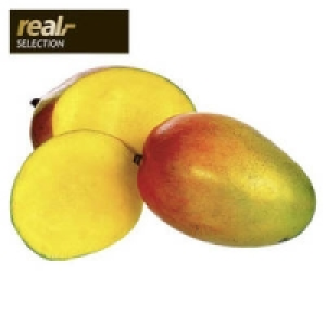 Elfenbeink&uuml;ste Mango Keith