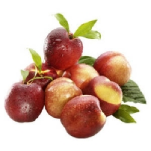 Spanien Nektarinen 1.49&nbsp;&euro;