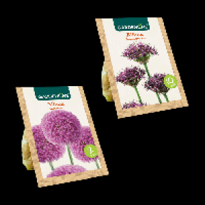 GARDENLINE Blumenzwiebeln Zierlauch 1.99 €
