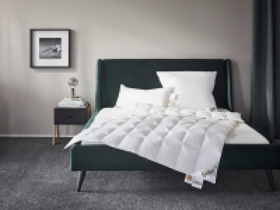 Fjödur Luxus Gänsedaunen-Kassettenbettdecke leicht 99.99 €