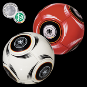 DFB-Ball 12.99&nbsp;&euro;