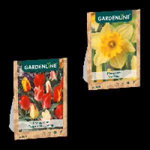 GARDENLINE Blumenzwiebeln 1.39 €
