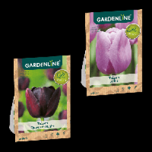 GARDENLINE Herbstblumenzwiebel-Spezialität 1.79 €