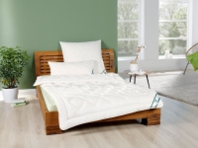 f.a.n. Steppbett kbA Baumwolle, medium 69.99 €